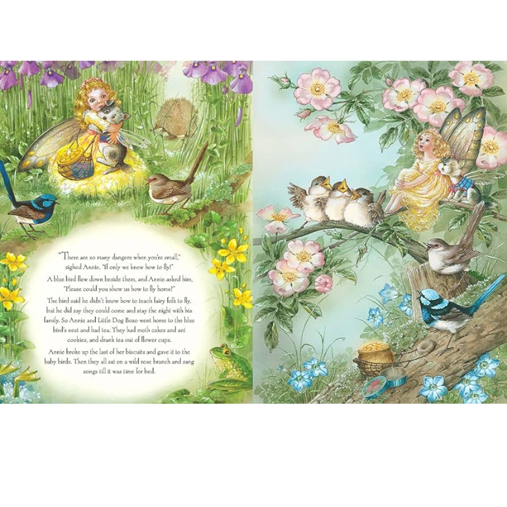 SHIRLEY BARBER RAINBOW MAGIC HARDBACK