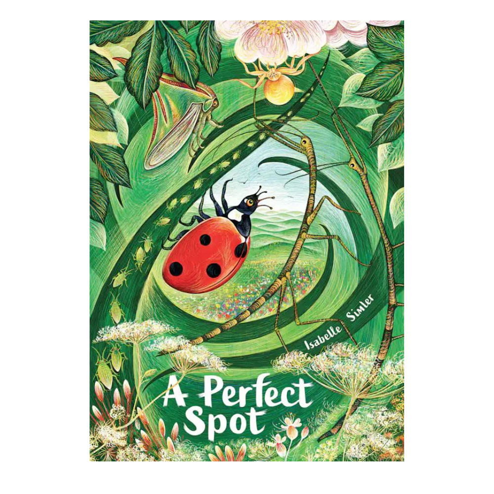BRUMBY SUNSTATE BOOKS A PERFECT SPOT PICTURE BOOK