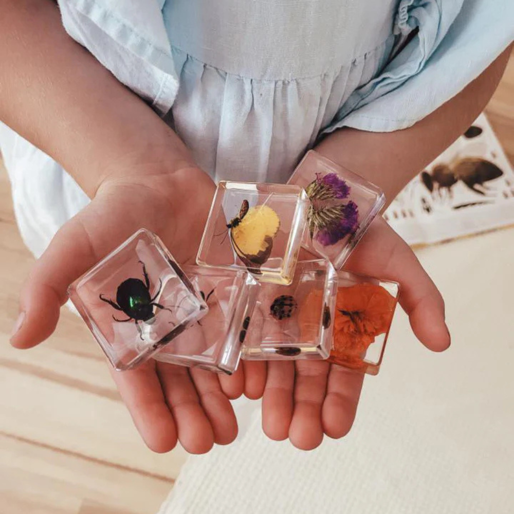 OUR EARTH LIFE POLLINATOR PALS SPECIMEN SET