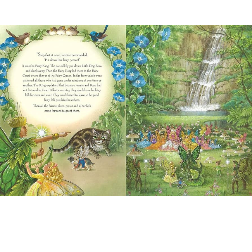 SHIRLEY BARBER RAINBOW MAGIC HARDBACK