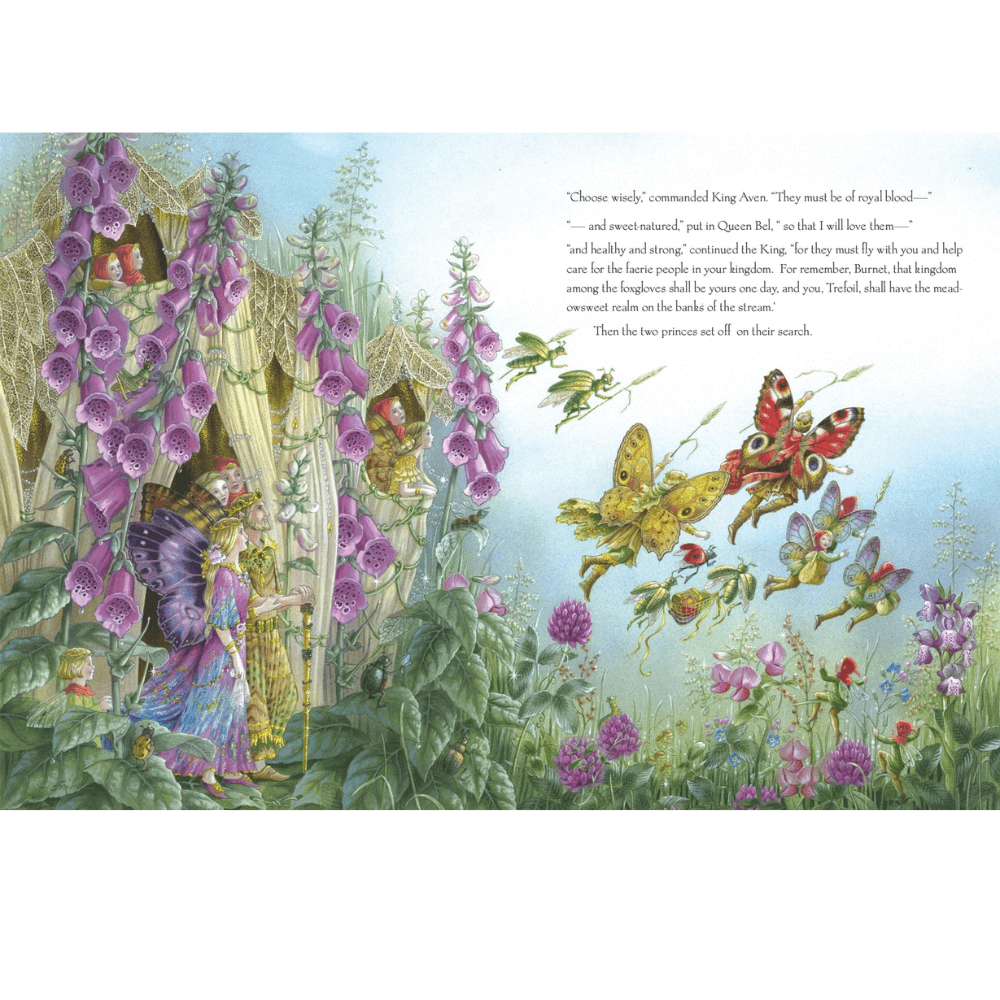 SHIRLEY BARBER SPELLBOUND HARDBACK