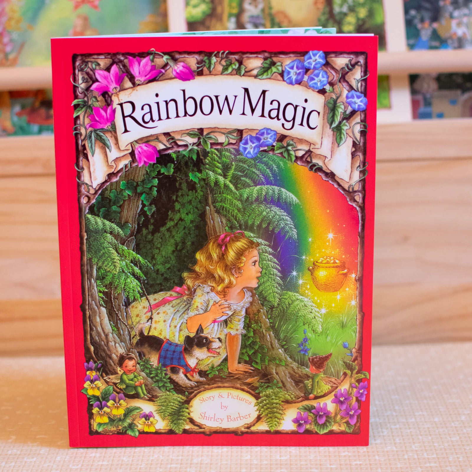 SHIRLEY BARBER RAINBOW MAGIC PAPERBACK