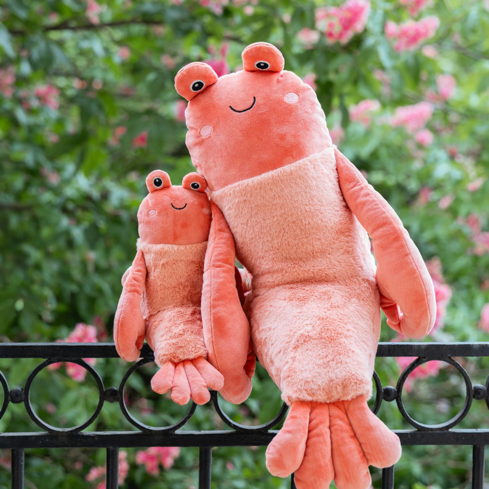 NANA HUCHY CRAIG THE CRAYFISH
