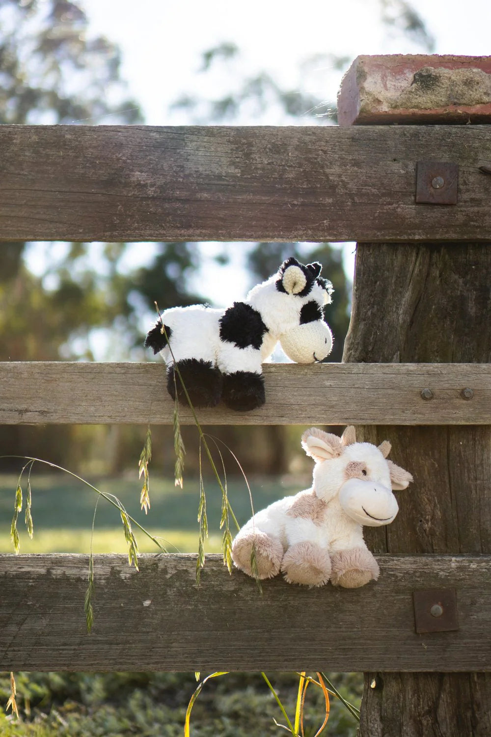 NANA HUCHY COCO THE COW BLACK