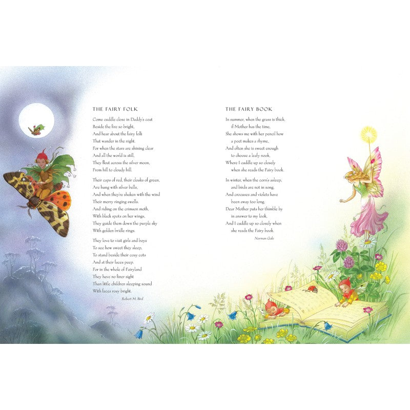 SHIRLEY BARBER FAIRY BOOK PAPERBACK