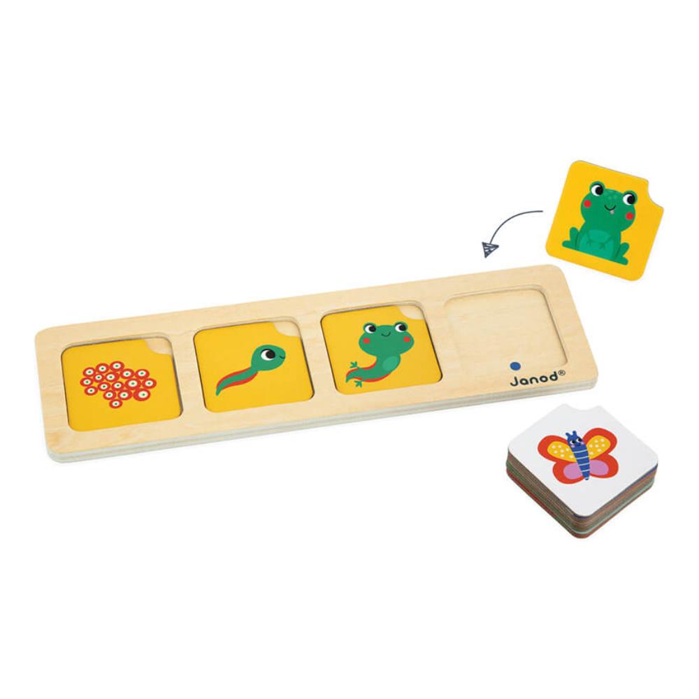 JANOD SEQUENCE CARDS GARDEN