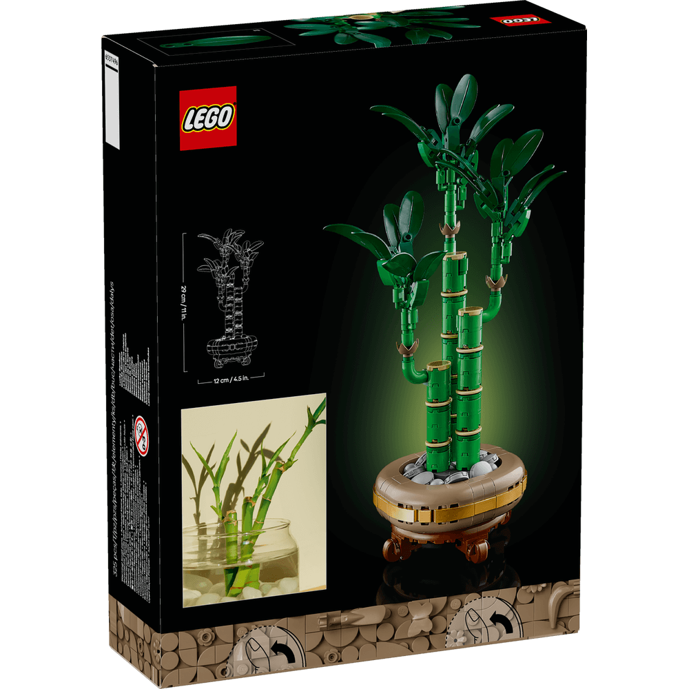 LUCKY BAMBOO 10344