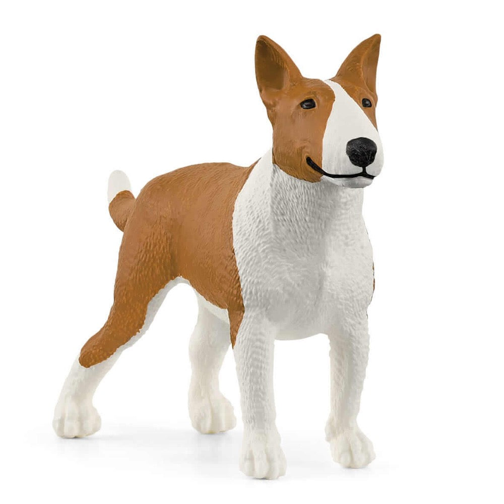 13966 BULL TERRIER DOG