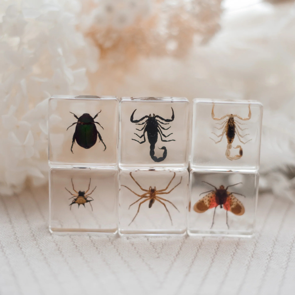 OUR EARTH LIFE CREEPY CRAWLERS SPECIMEN SET