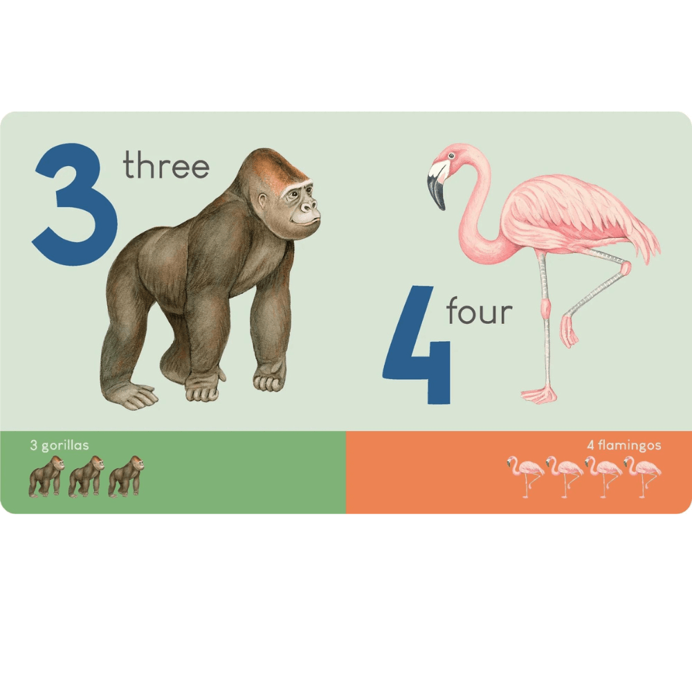 CARRY ME PICTURE BOOK ANIMAL NUMBERS