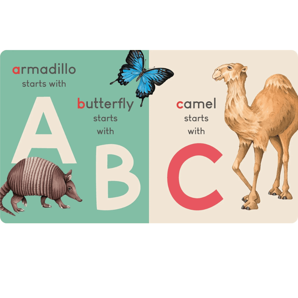 CARRY ME BOARD BOOK ANIMAL ALPHABET