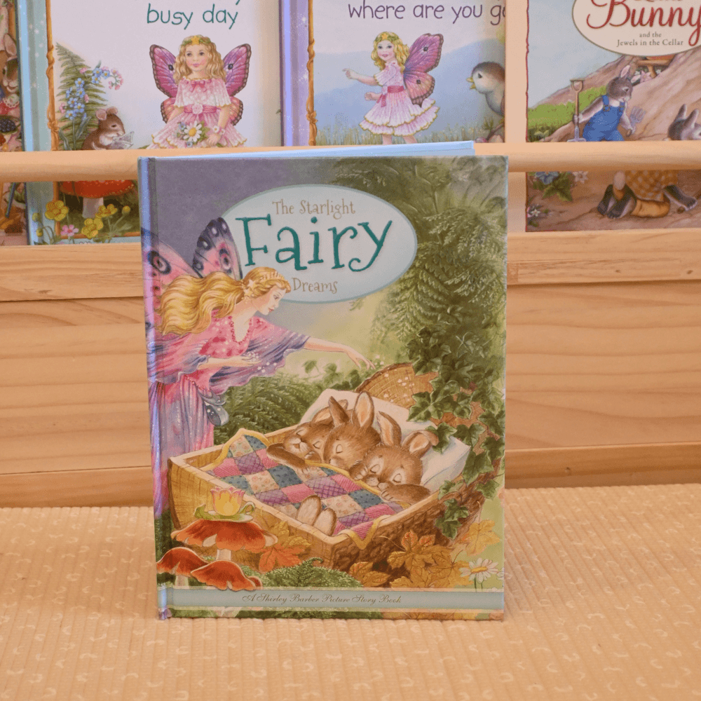 SHIRLEY BARBER THE STARLIGHT FAIRY DREAMS HARD BACK