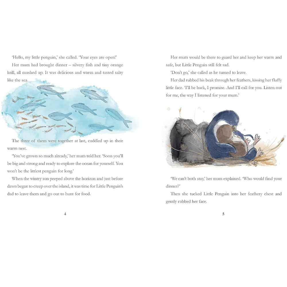 BRUMBY SUNSTATE BOOKS THE LITTLEST PENGUIN BOOK HB