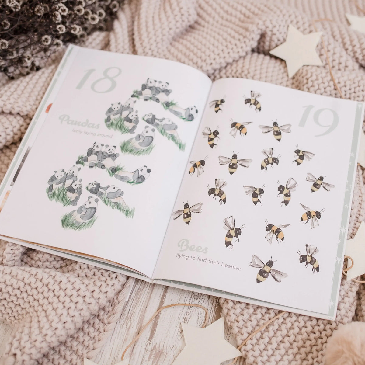 ADORED ILLUSTRATIONS THE AMAZING 123 BOOK