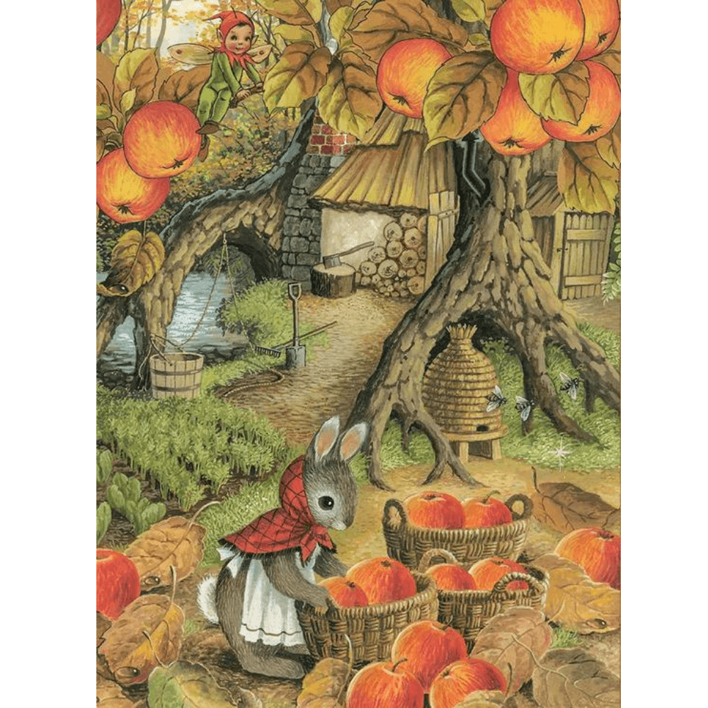 SHIRLEY BARBER THE FAIRIES COOK HARDBACK