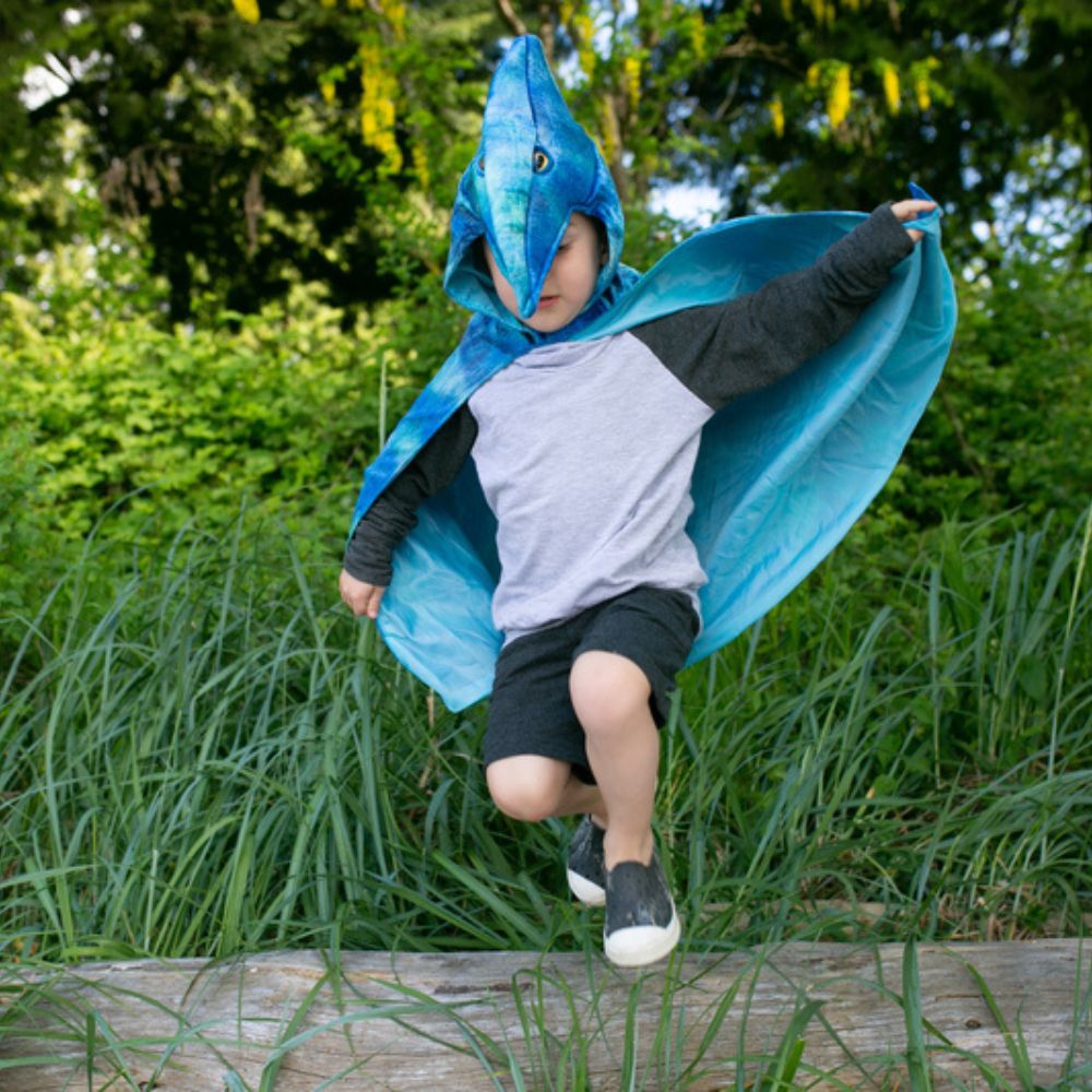 GREAT PRETENDER PTERODACTYL HOODED CAPE SIZE 4-5