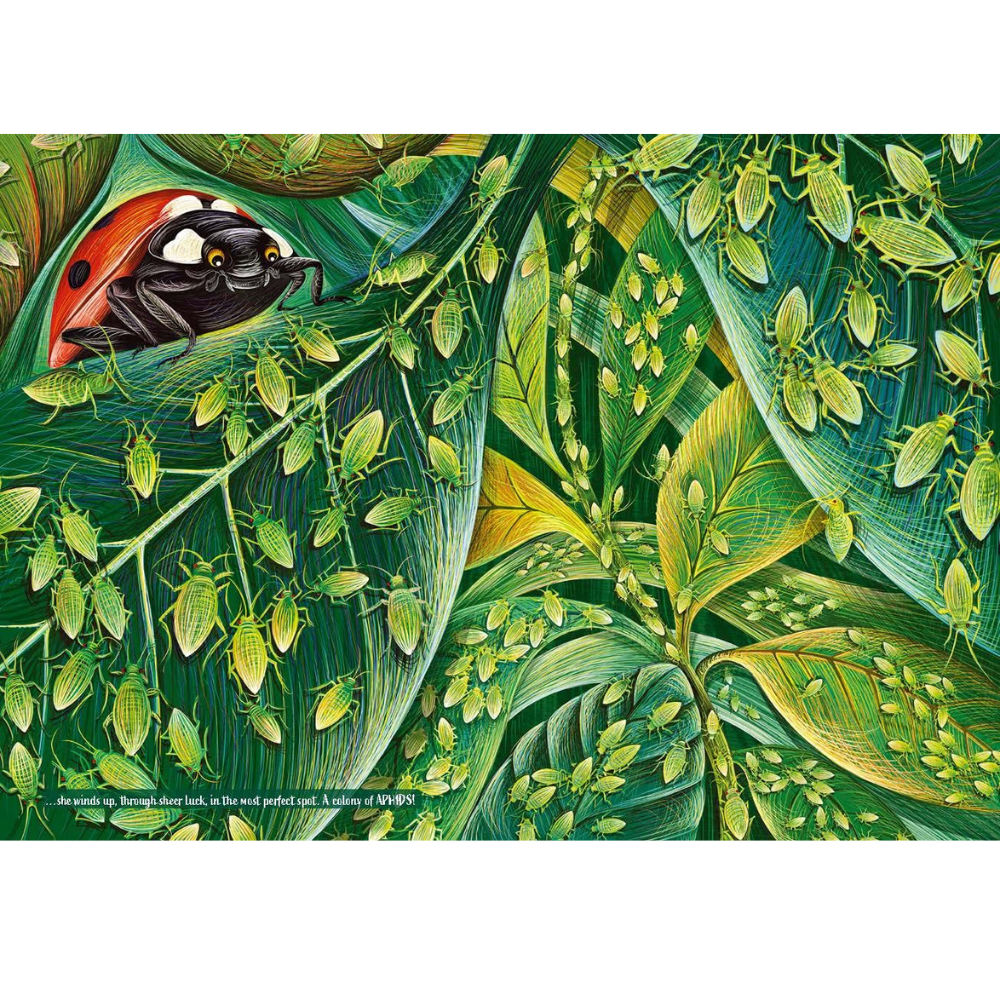BRUMBY SUNSTATE BOOKS A PERFECT SPOT PICTURE BOOK
