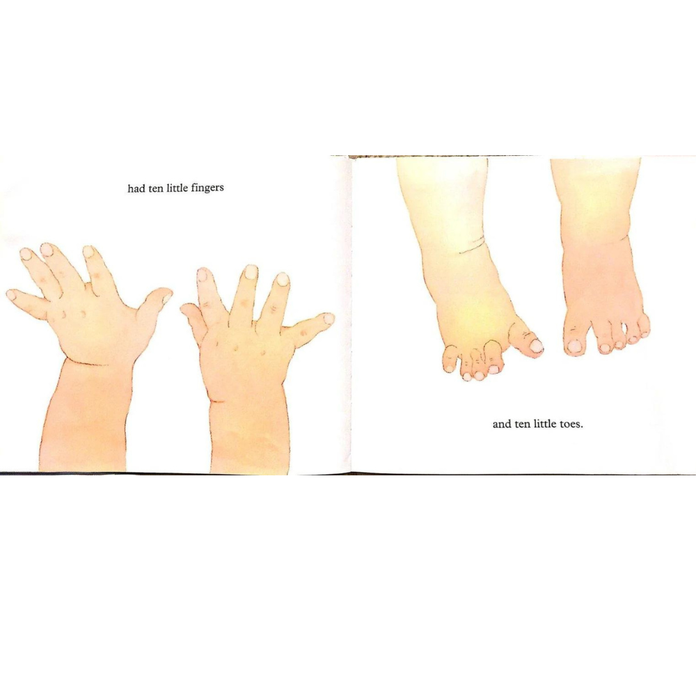 BRUMBY SUNSTATE BOOKS TEN LITTLE FINGERS AND TEN LITTLE TOES BOARD BOOK