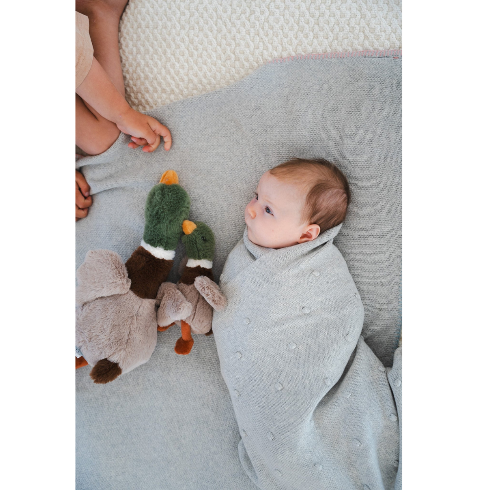 NANA HUCHY HUGO MALLARD DUCK