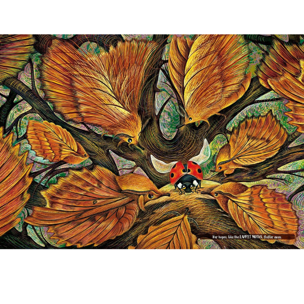 BRUMBY SUNSTATE BOOKS A PERFECT SPOT PICTURE BOOK