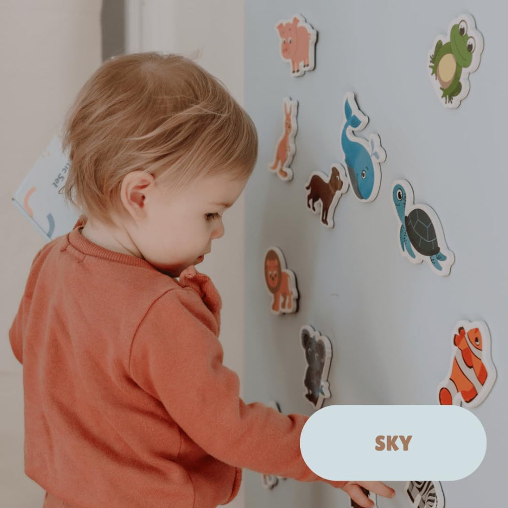 MAGPLAY MAGNETIC DECAL SKY