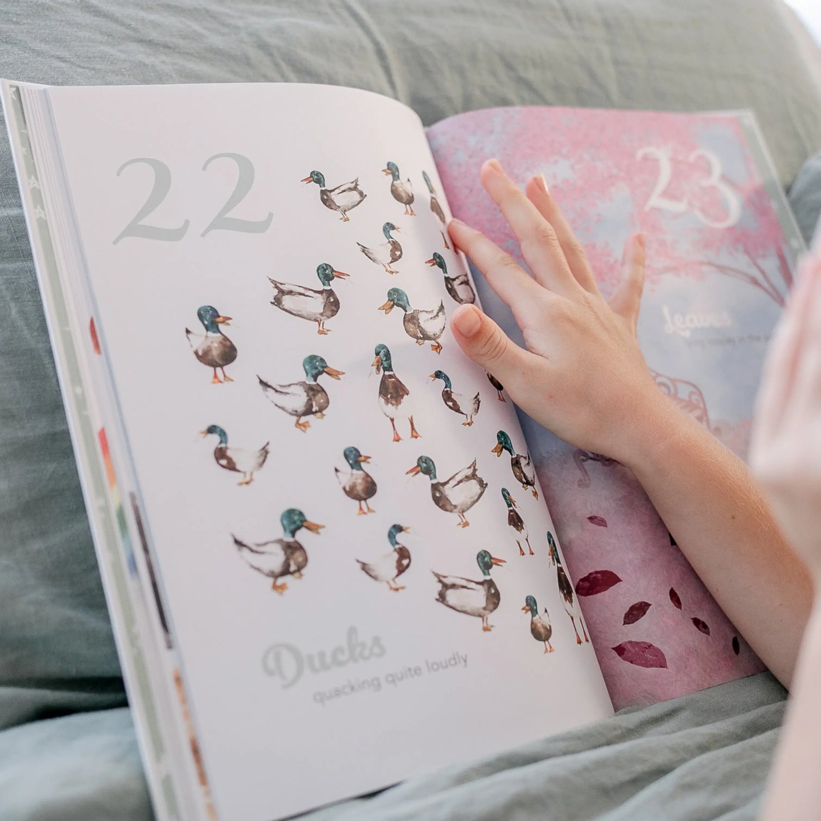 ADORED ILLUSTRATIONS THE AMAZING 123 BOOK