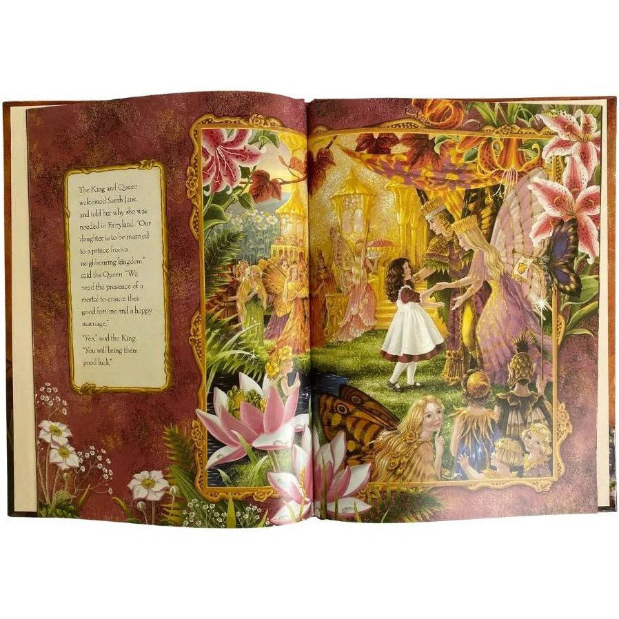 SHIRLEY BARBER THE ENCHANTED WOODS HARDBACK