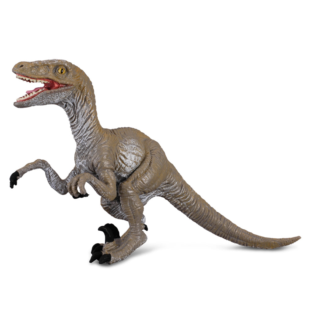 COLLECTA VELOCIRAPTOR 88034