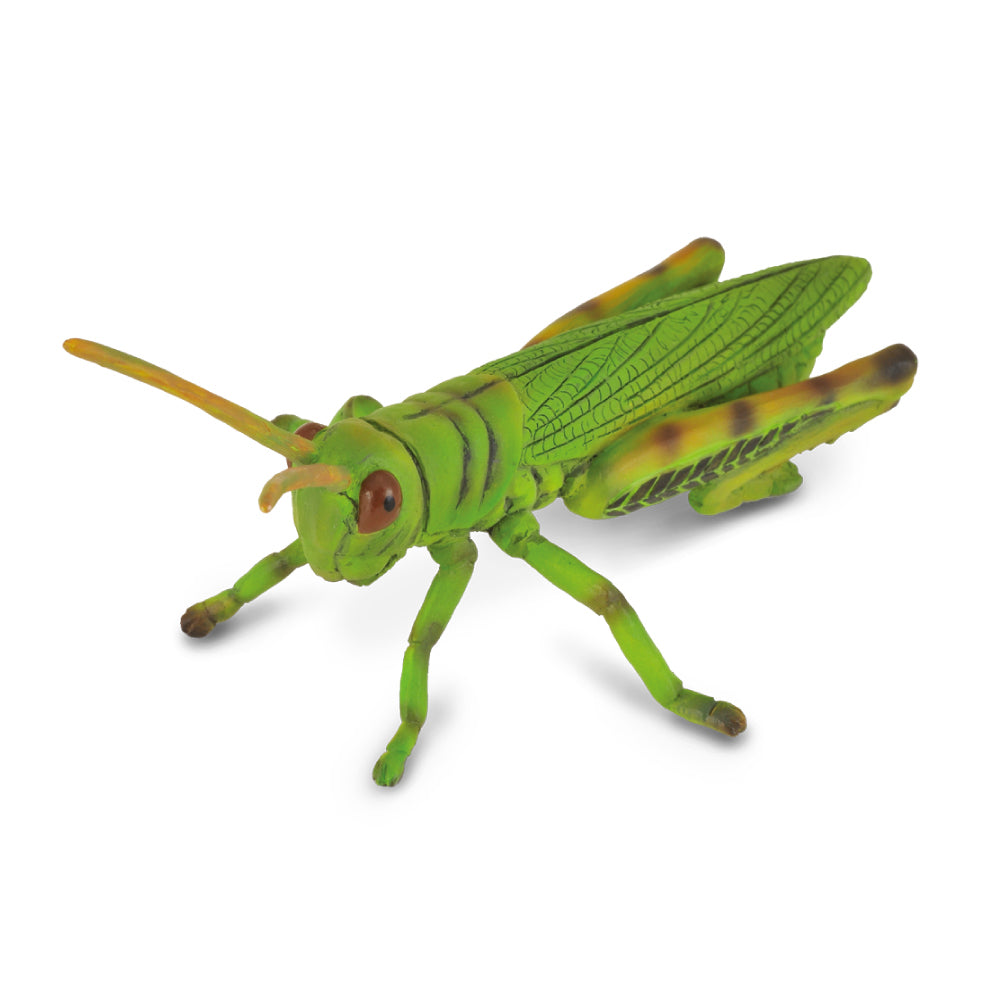 COLLECTA GRASSHOPPER 88352