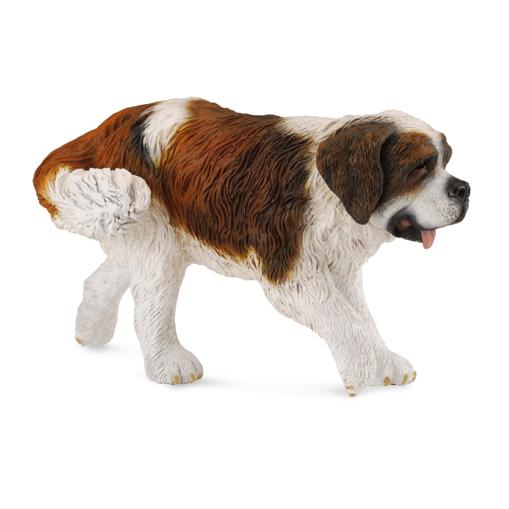 COLLECTA ST BERNARD 88506