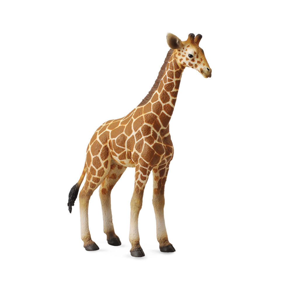 COLLECTA RETICULATED GIRAFFE CALF 88535