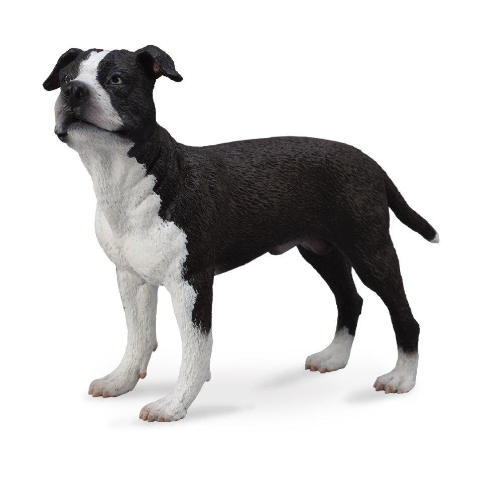 COLLECTA AMERICAN STAFFORDSHIRE TERRIER 88610