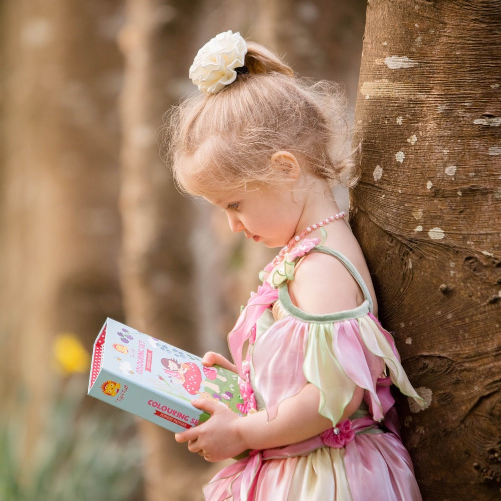 TIGER TRIBE FOREST FAIRIES COLOURING SET
