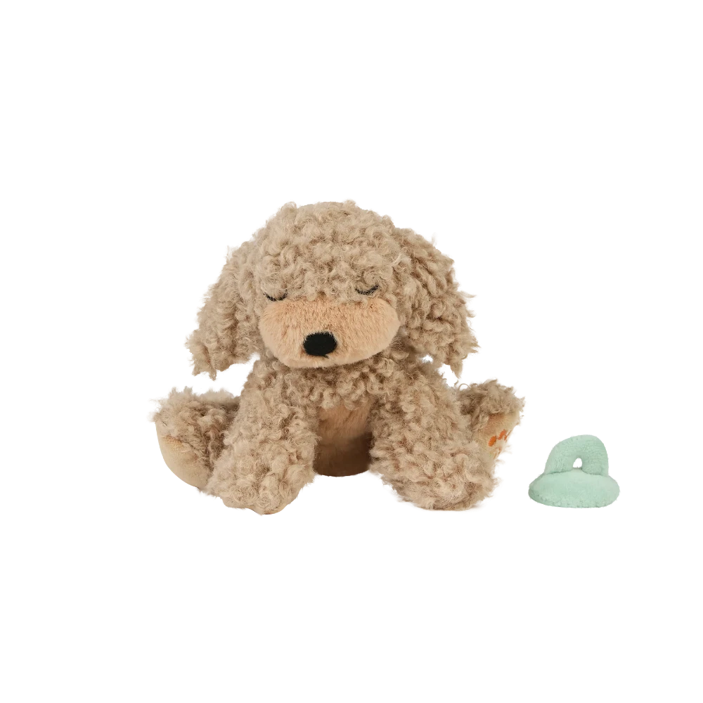 OLLIELLA DINKUM DOGS PUPPY BENNY