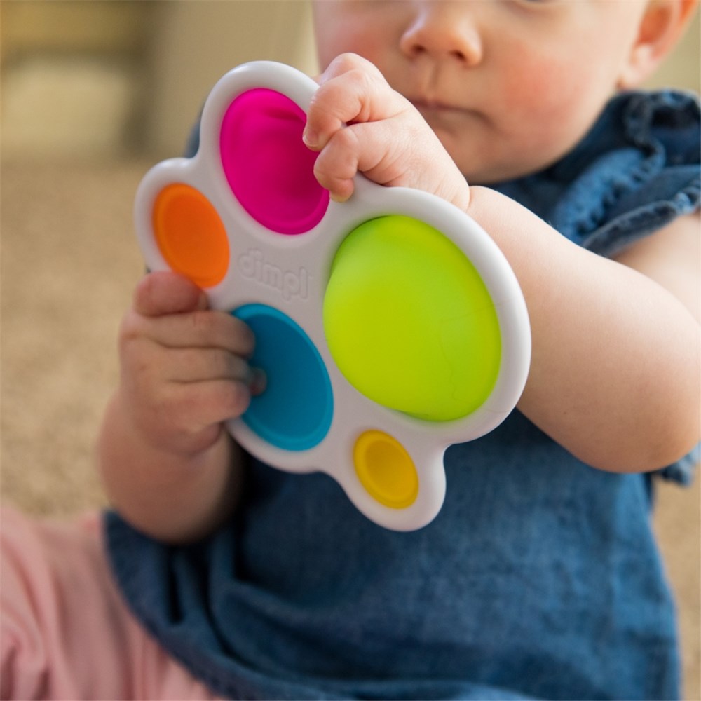 FAT BRAIN TOYS DIMPL