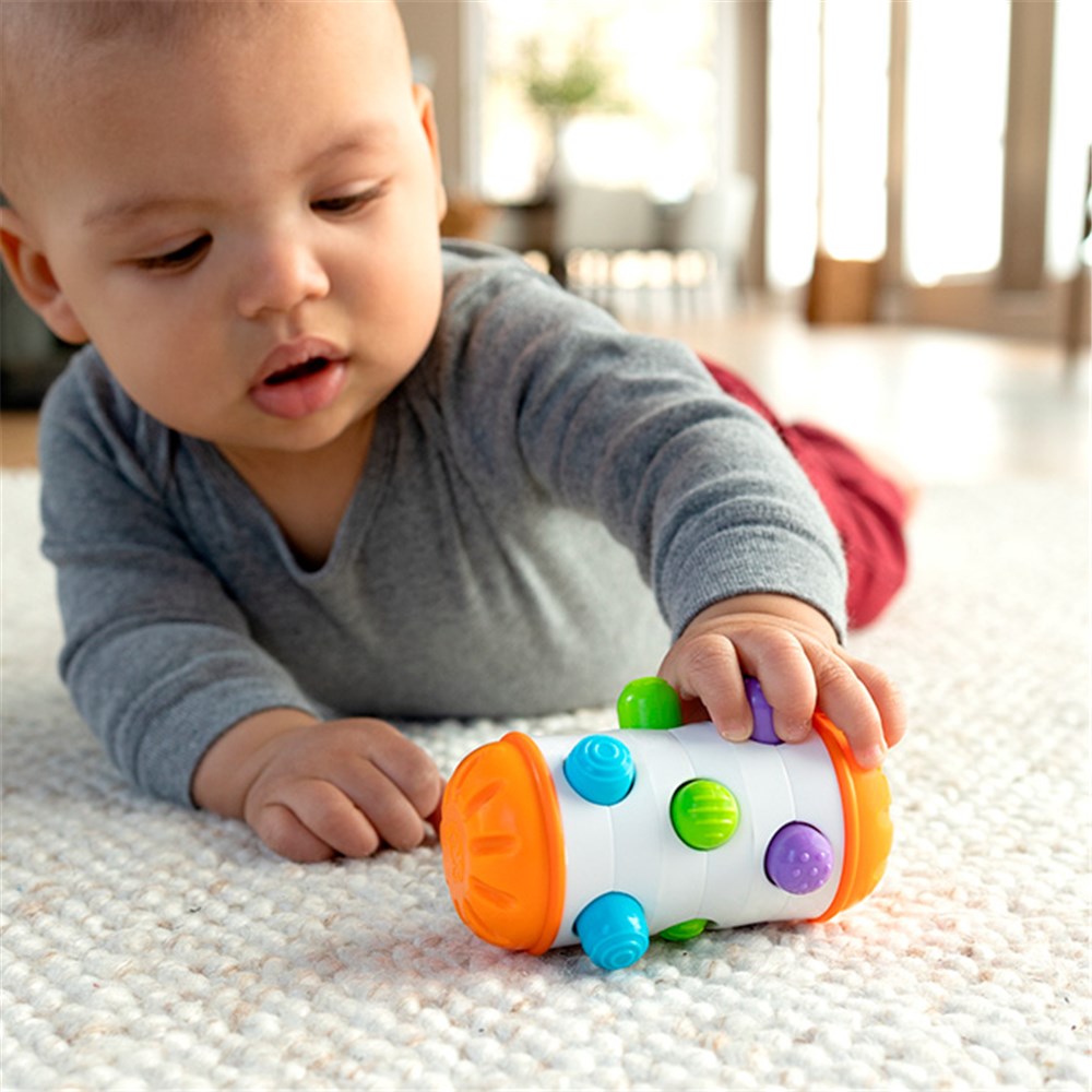FAT BRAIN TOYS ROLIO