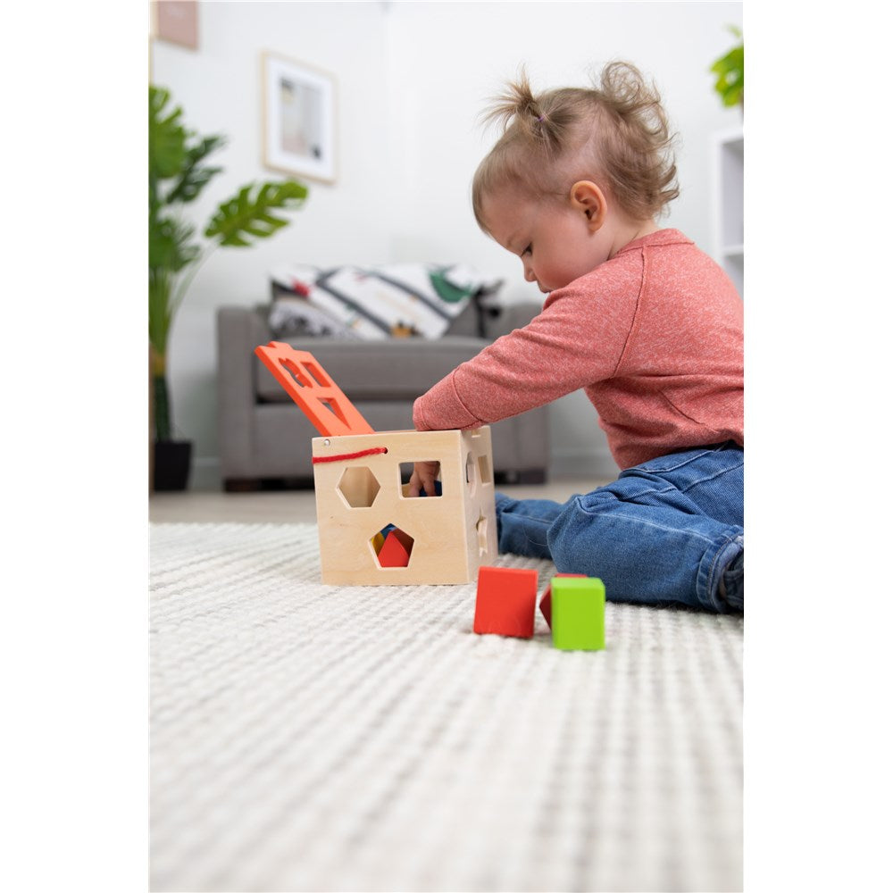 FAT BRAIN TOYS TAKE ALONG SHAPES SORTER
