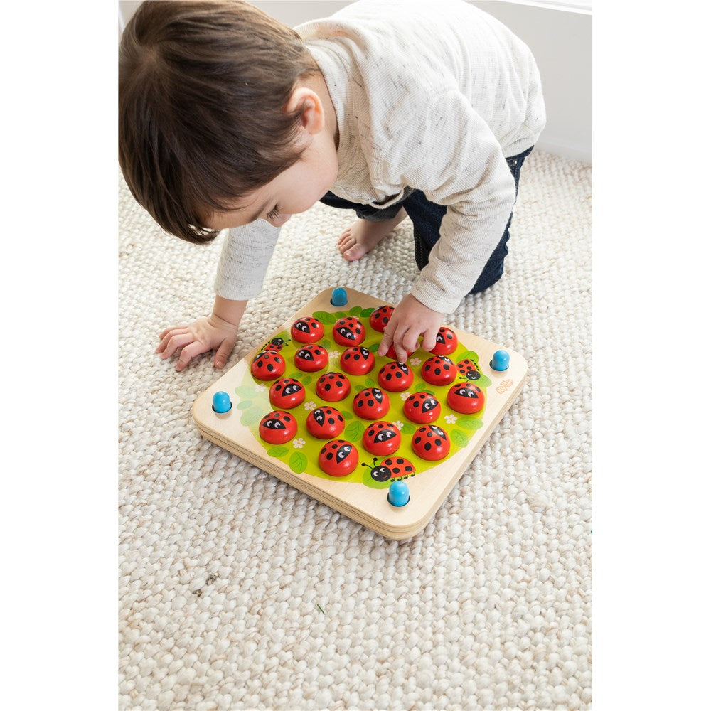 FAT BRAIN TOYS LADYBUGS GARDEN MEMORY GAME