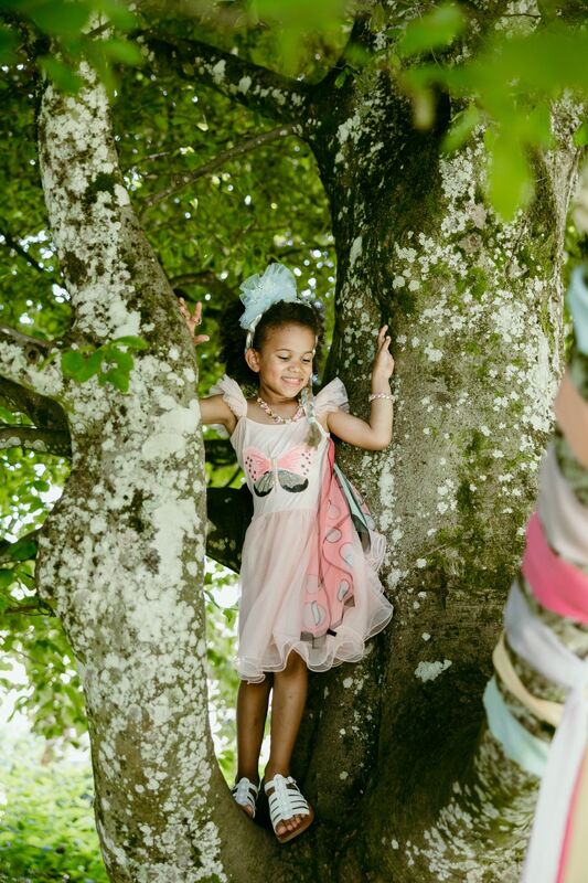 GREAT PRETENDER SECRET BUTTERFLY TWIRL DRESS WITH WINGS 5-6