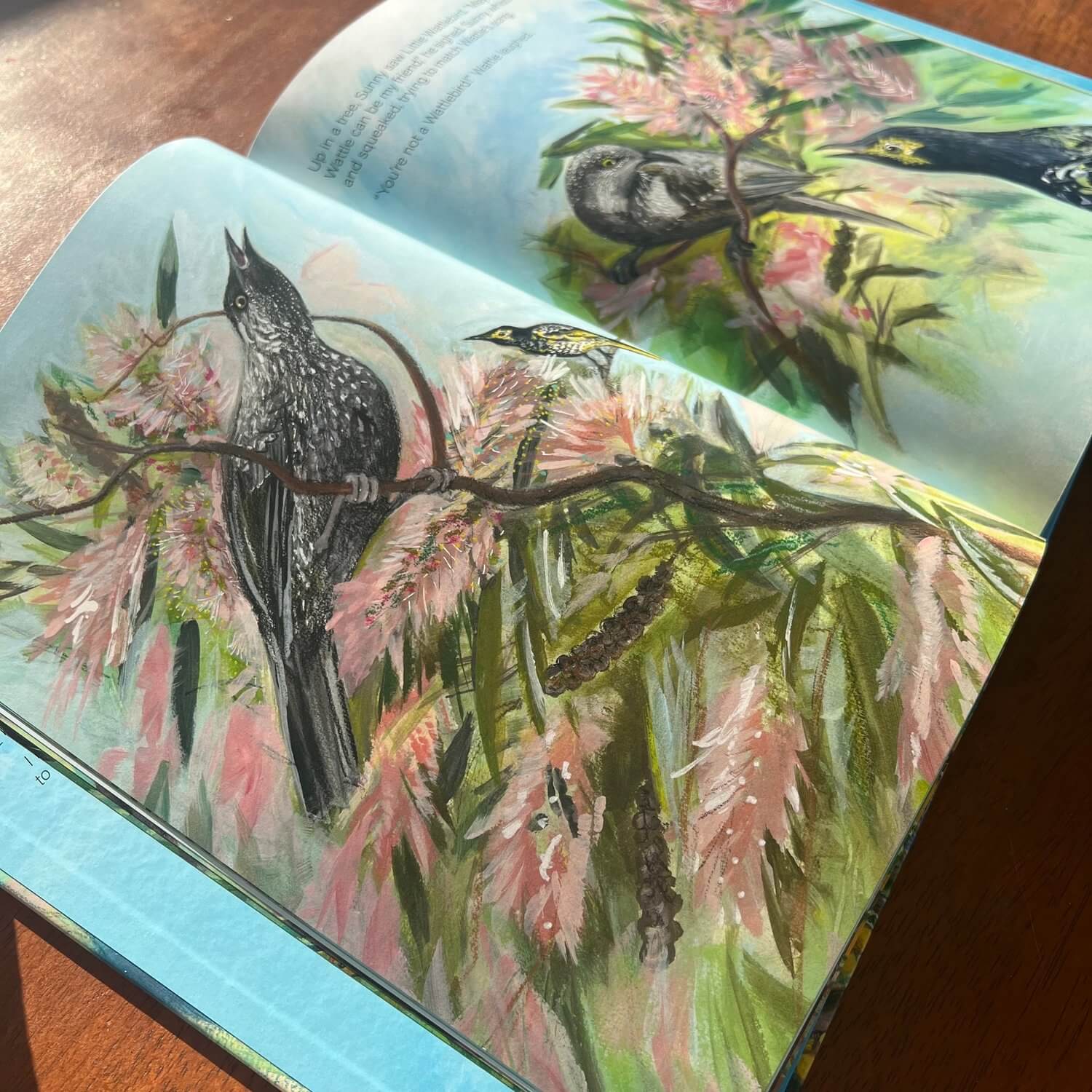 WET SEASON BOOKS SUNNY FINDS HIS SONG HARDBACK
