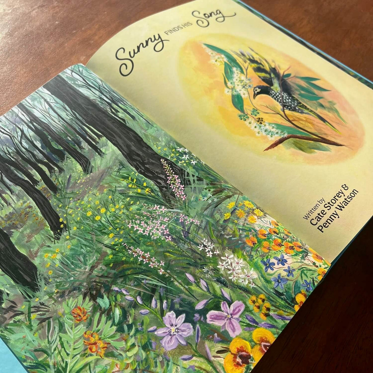 WET SEASON BOOKS SUNNY FINDS HIS SONG HARDBACK