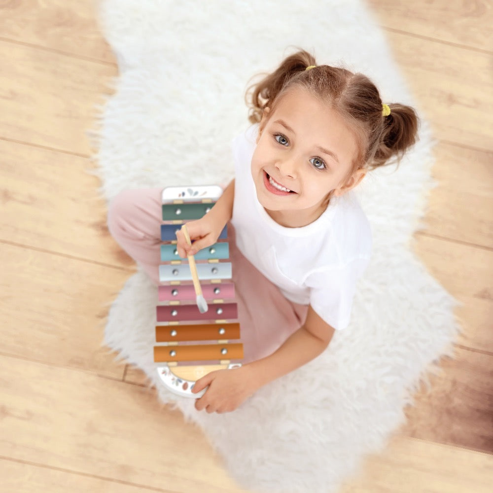 SPEEDY MONKEY WOODEN XYLOPHONE