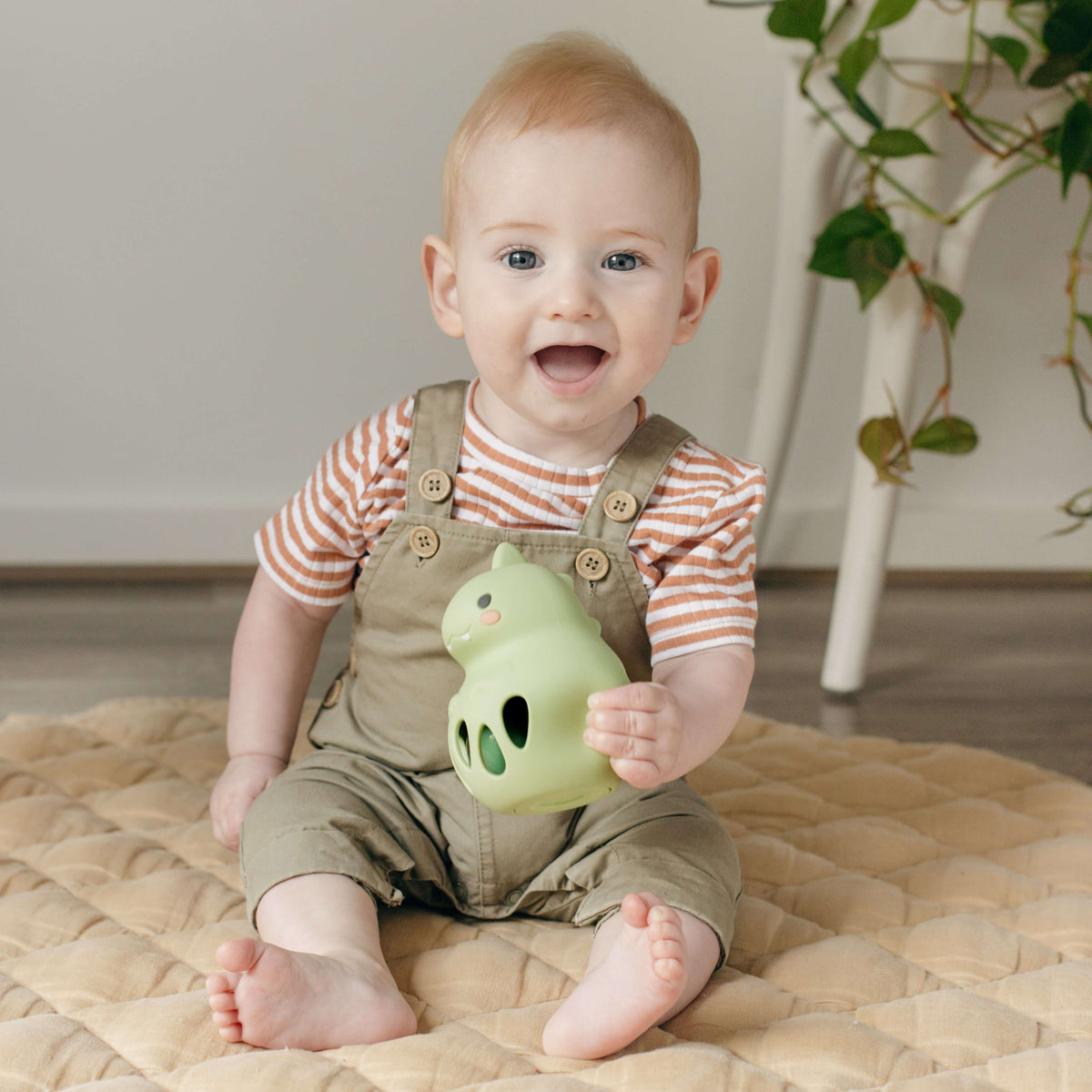 TIGER TRIBE SILICONE RATTLE DINO