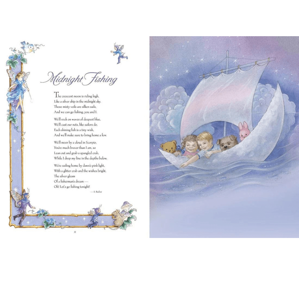 SHIRLEY BARBER FAIRY BOOK HARDBACK