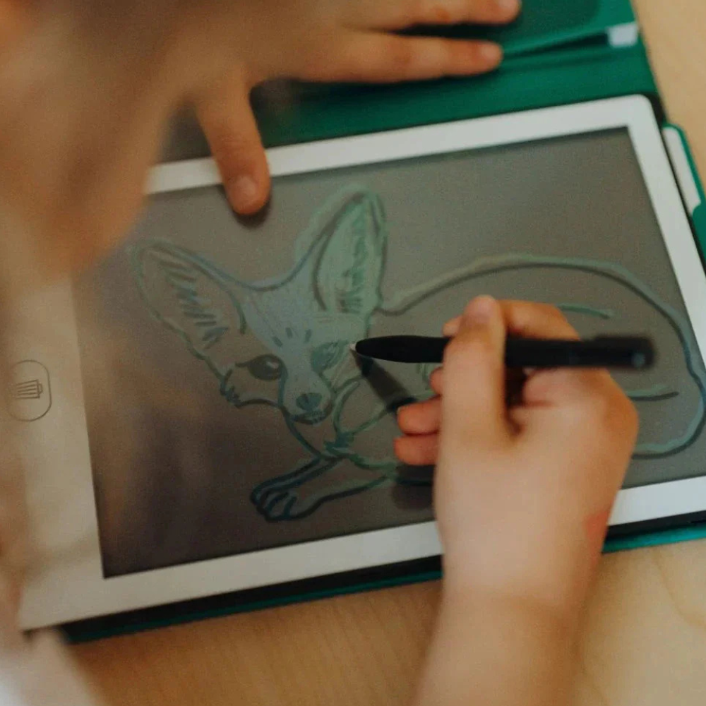 KIDYWOLF KIDYDRAW MINI ANIMALS AROUND THE WORLD