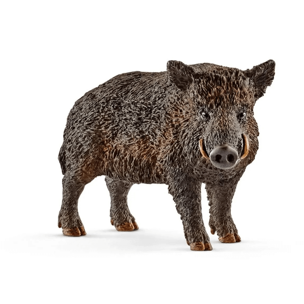 SCHLEICH WILD BOAR