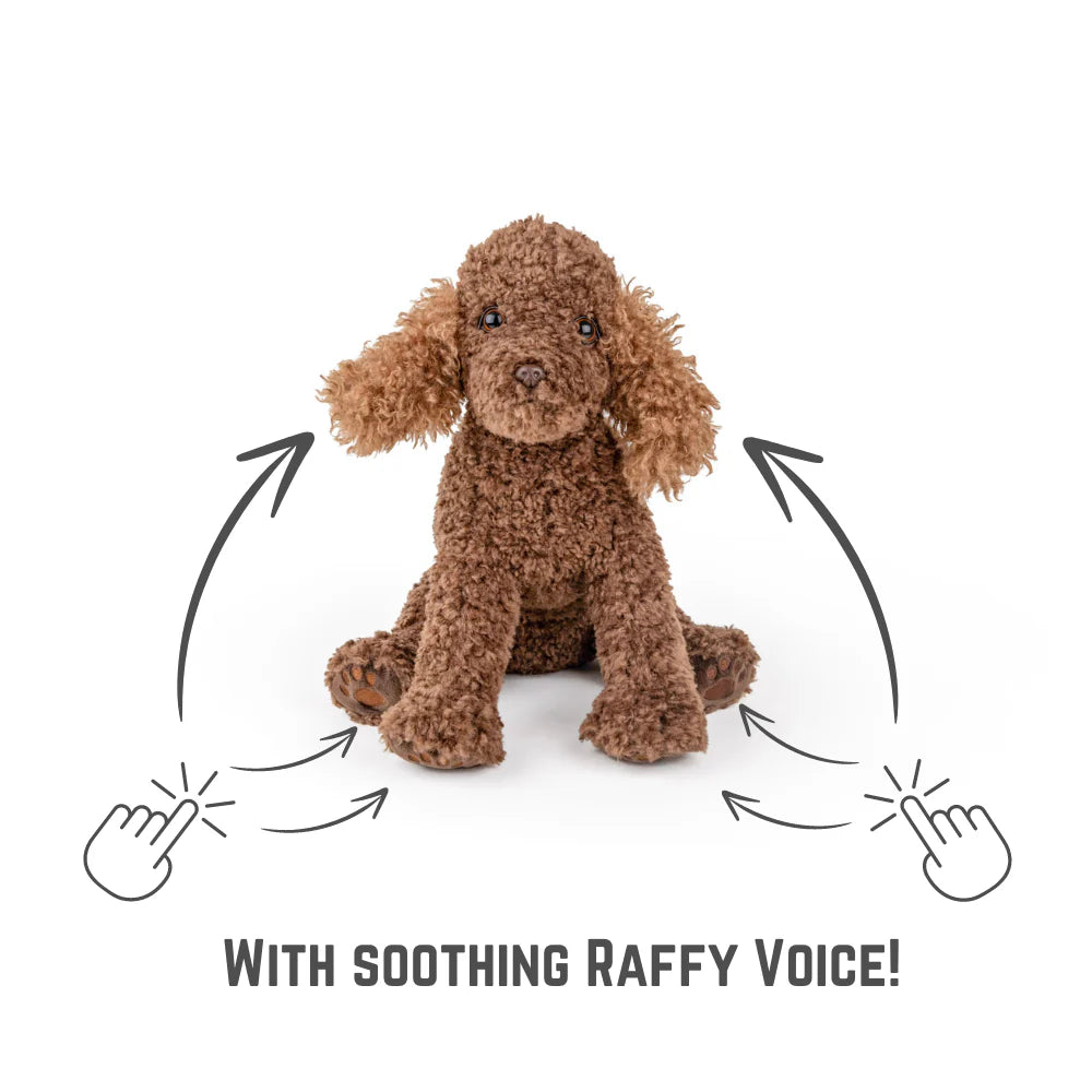 COMFORT ME RAFFY PLUSH