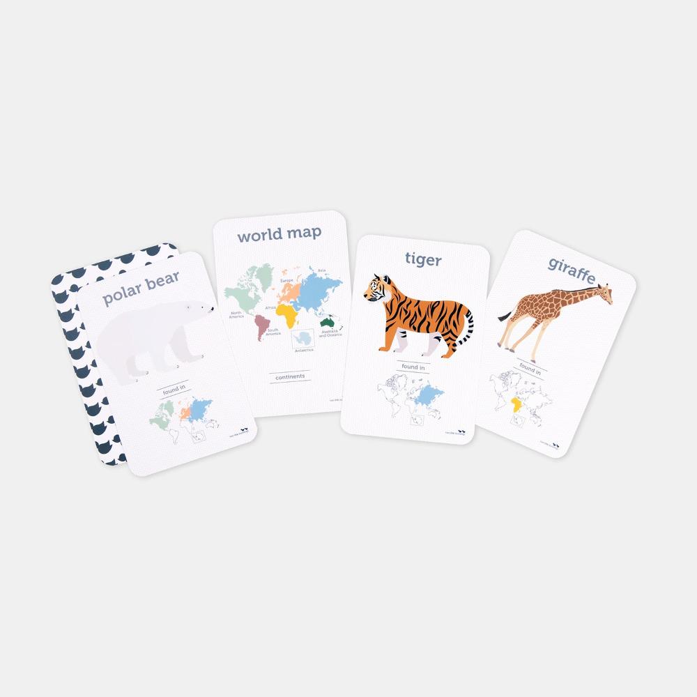 TWO LITTLE DUCKLINGS WORLD ANIMALS FLASH CARD