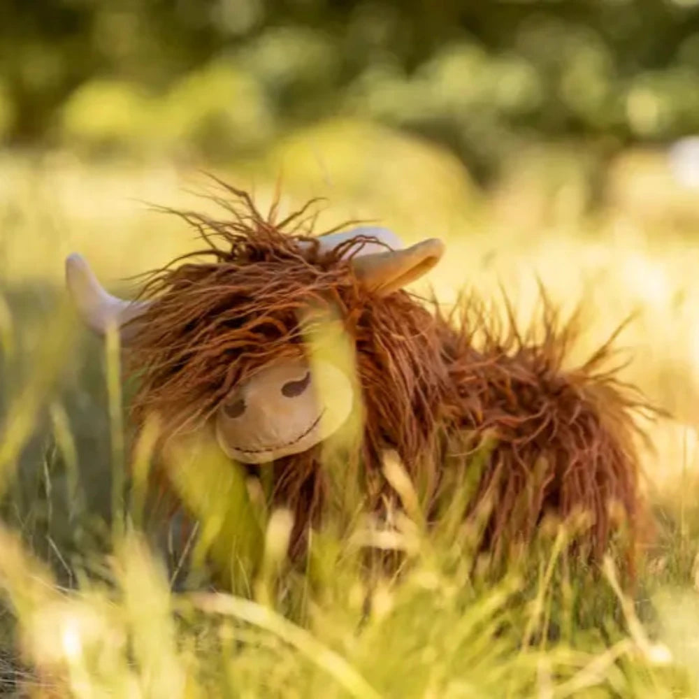 NANA HUCHY HEIDI THE HIGHLAND COW