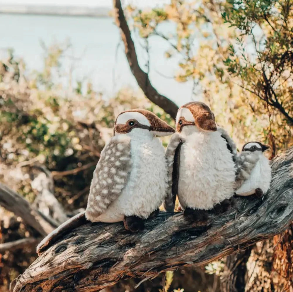 NANA HUCHY KEN THE KOOKABURRA